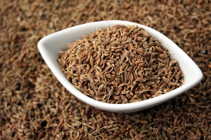 Beyond candida management, anise seeds offer a plethora of health benefits.