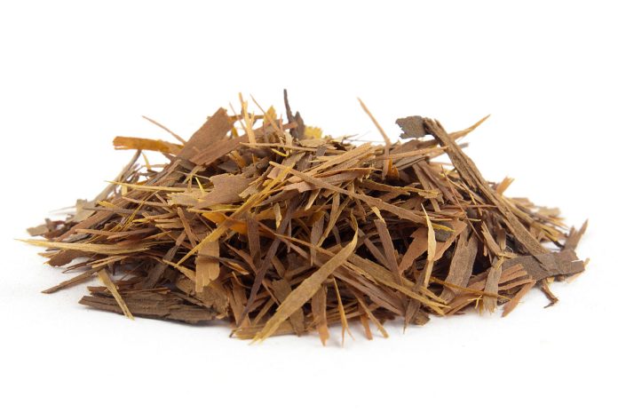 Leukemia therapy by tapping into the potential of natural substances derived from the Brazilian lapacho tree bark.